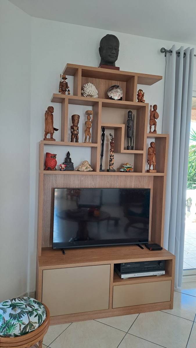 Réalisation Meuble TV/Bibliothèque Sur-Mesure dans une maison à Salles-d'Aude, situé dans l'Aude